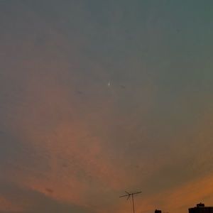 Meet your Posher, Tatiana